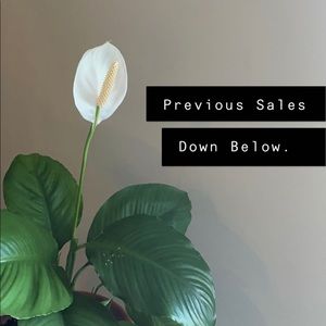 Previous Sales Below